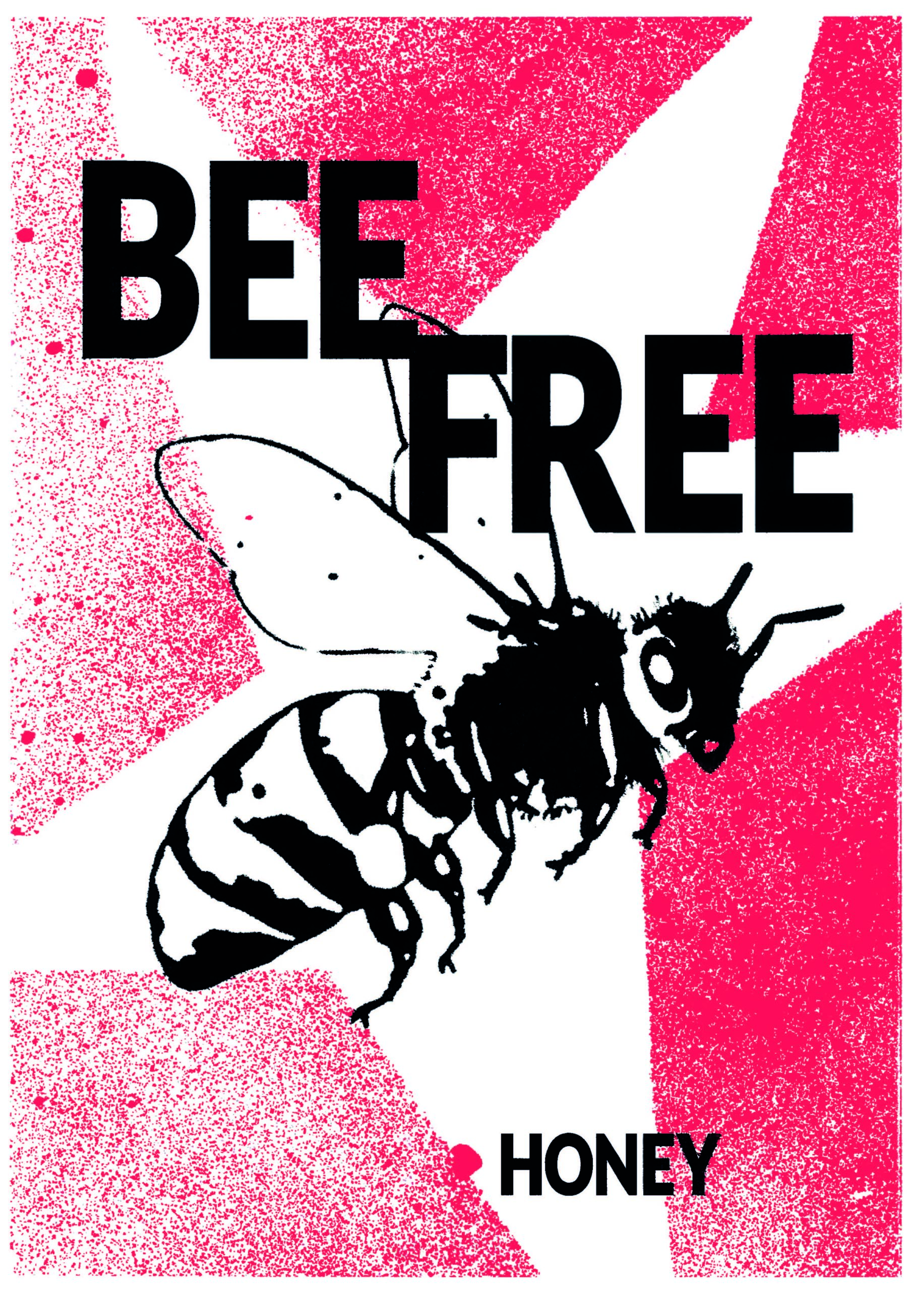 Bee Free — Exploration graphique